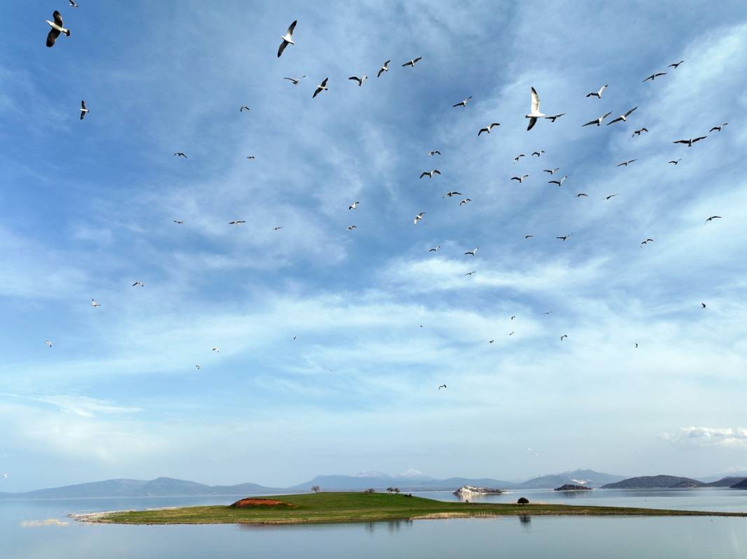 Konya'da adeta cennetten bir köşe! Bir tarafta karlı dağlar, diğer yanda bahar 13
